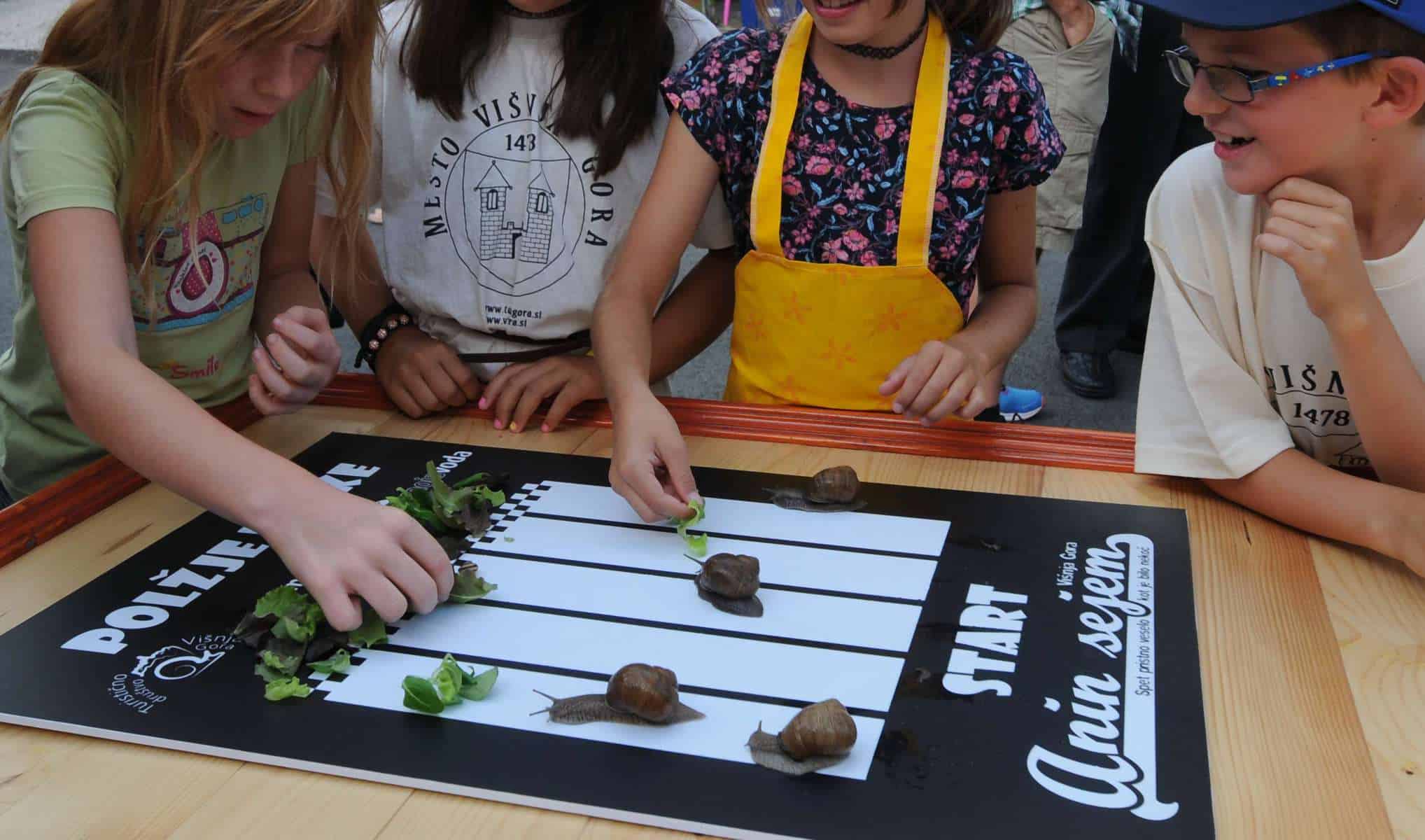 Višnja Gora konec julija gosti že 21. Anin sejem